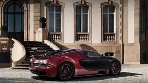 今日，驻马店市体育中心盛大开业！