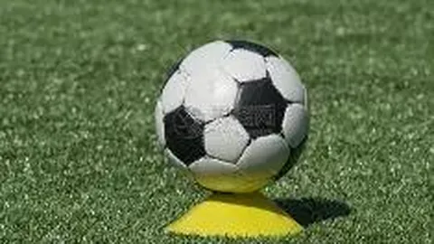 kaiyun体育官网在线登录 资讯 101708 jo7