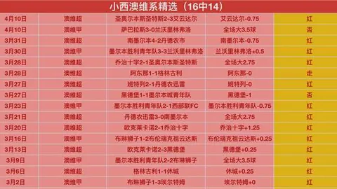 《激战对决！珀斯野猫VS墨尔本联，NBL精彩解析及独到让分预测》